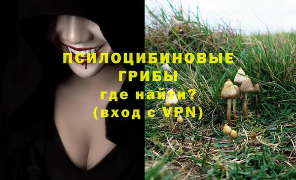 бошки Пестово