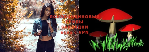 стаф Алексеевка