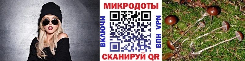 Псилоцибиновые грибы прущие грибы  наркошоп  мега маркетплейс  Хотьково 